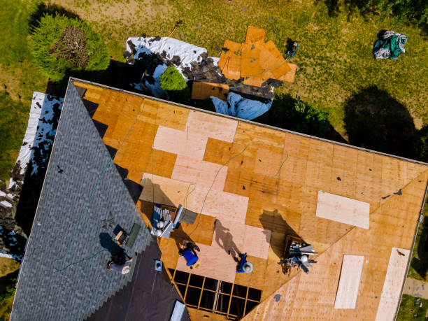 Best Storm Damage Roof Repair  in University Center, VA