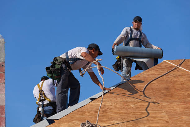 Best Affordable Roofing Company  in University Center, VA