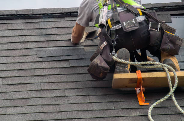 Best Flat Roof Repair Services  in University Center, VA