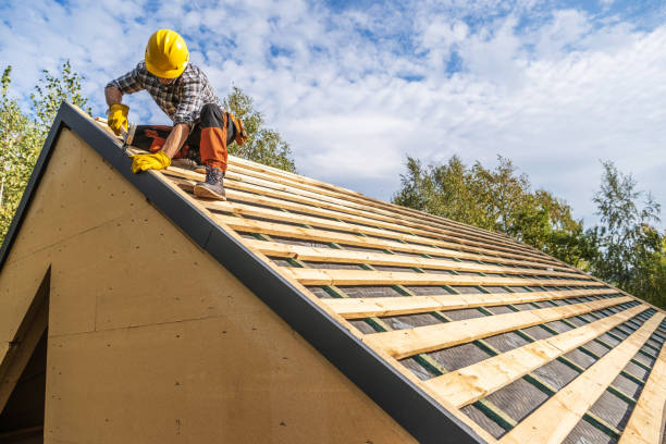 Best Local Roofing Companies  in University Center, VA