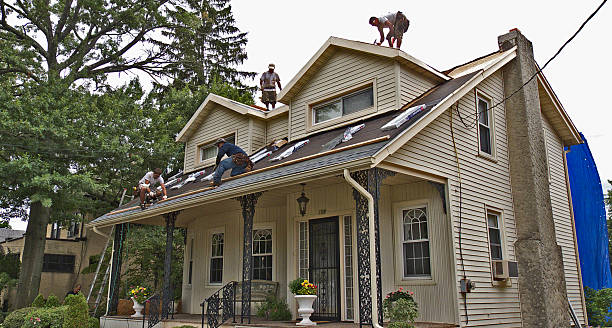 Best Roof Maintenance Services  in University Center, VA