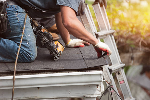 Best Roof Restoration Services  in University Center, VA