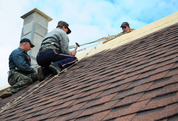 Best Roof Repair Services  in University Center, VA