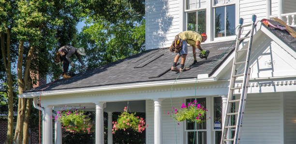 Best Shingle Roofing Installation  in University Center, VA
