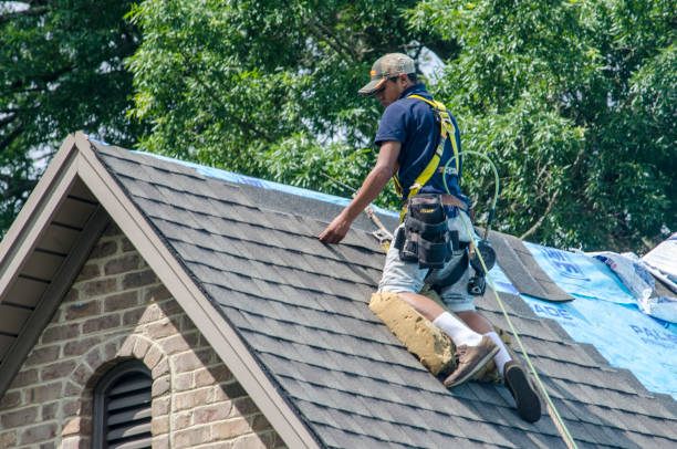 Best Affordable Roofing Company  in University Center, VA